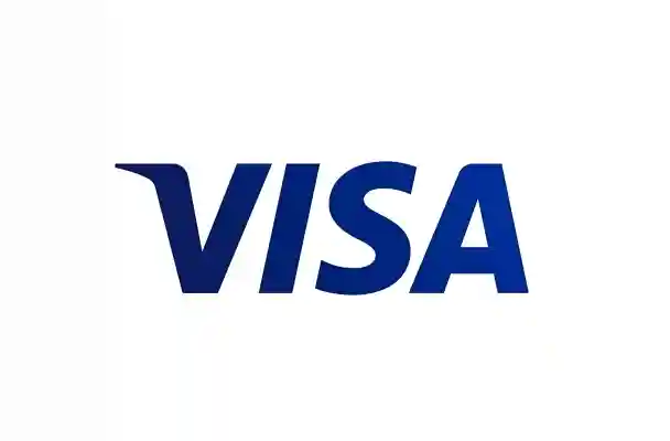 Visa logo, accepted payment method